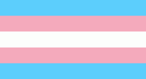 trans_zastava